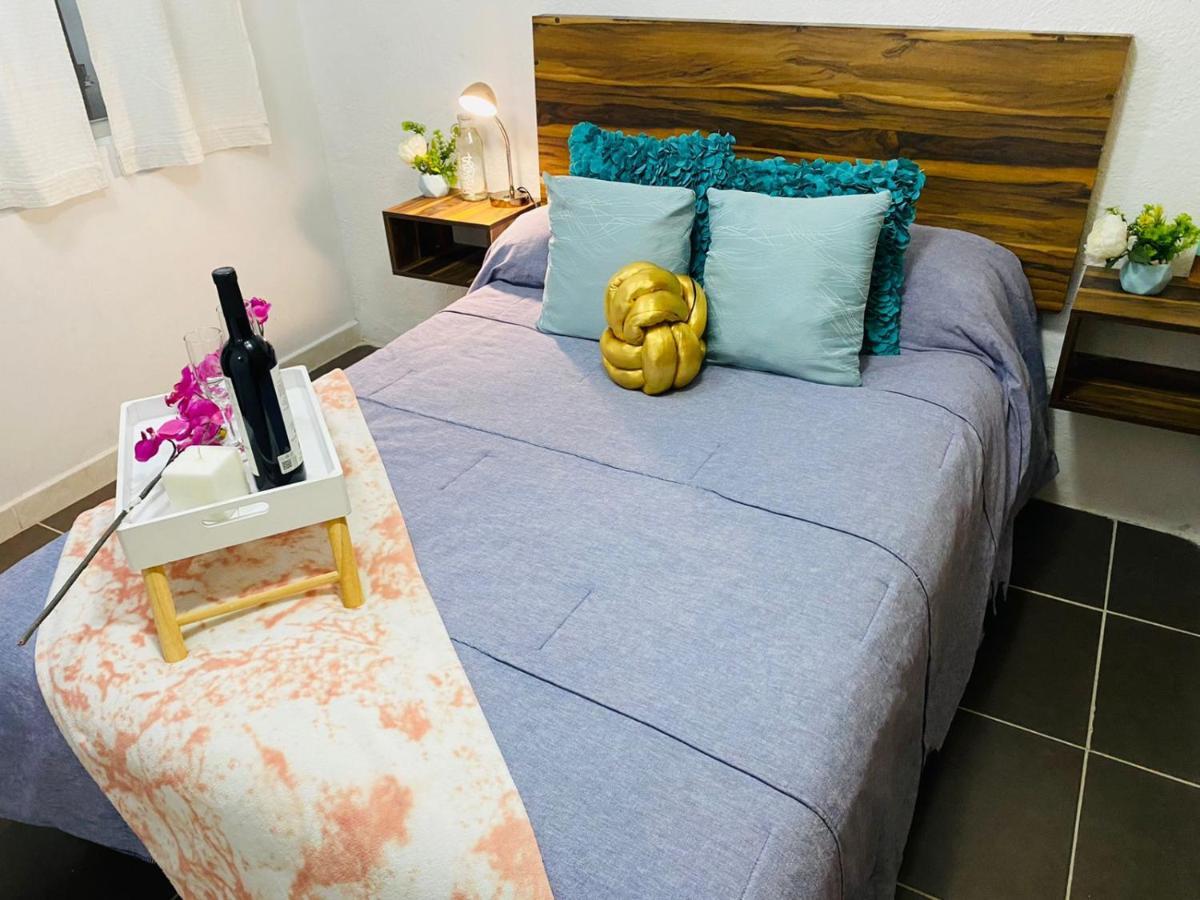 Bufa House - Hermoso Departamento Centrico