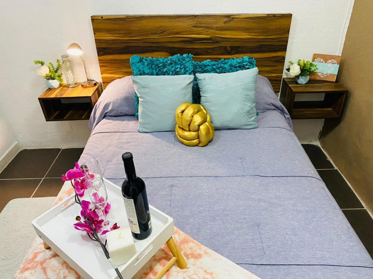 Bufa House - Hermoso Departamento Centrico Apartamento *