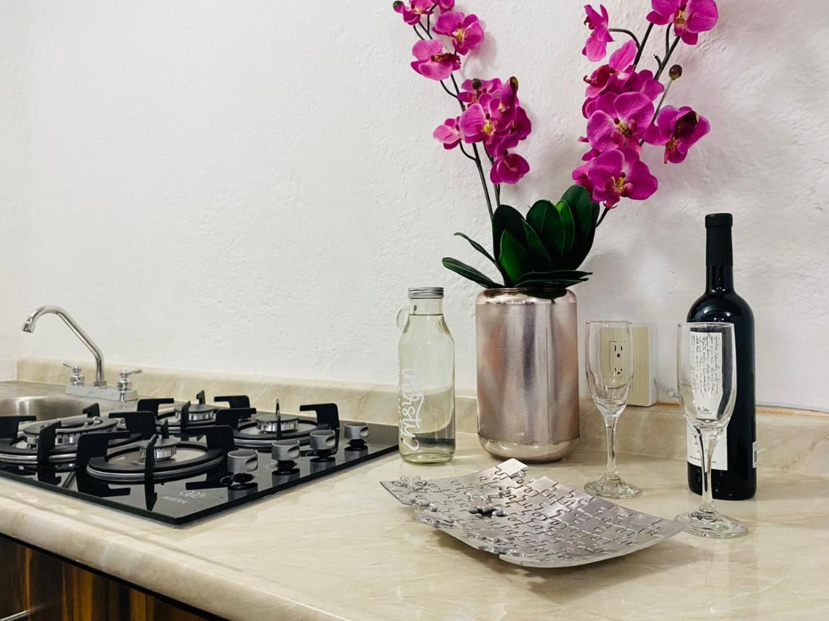 Bufa House - Hermoso Departamento Centrico *