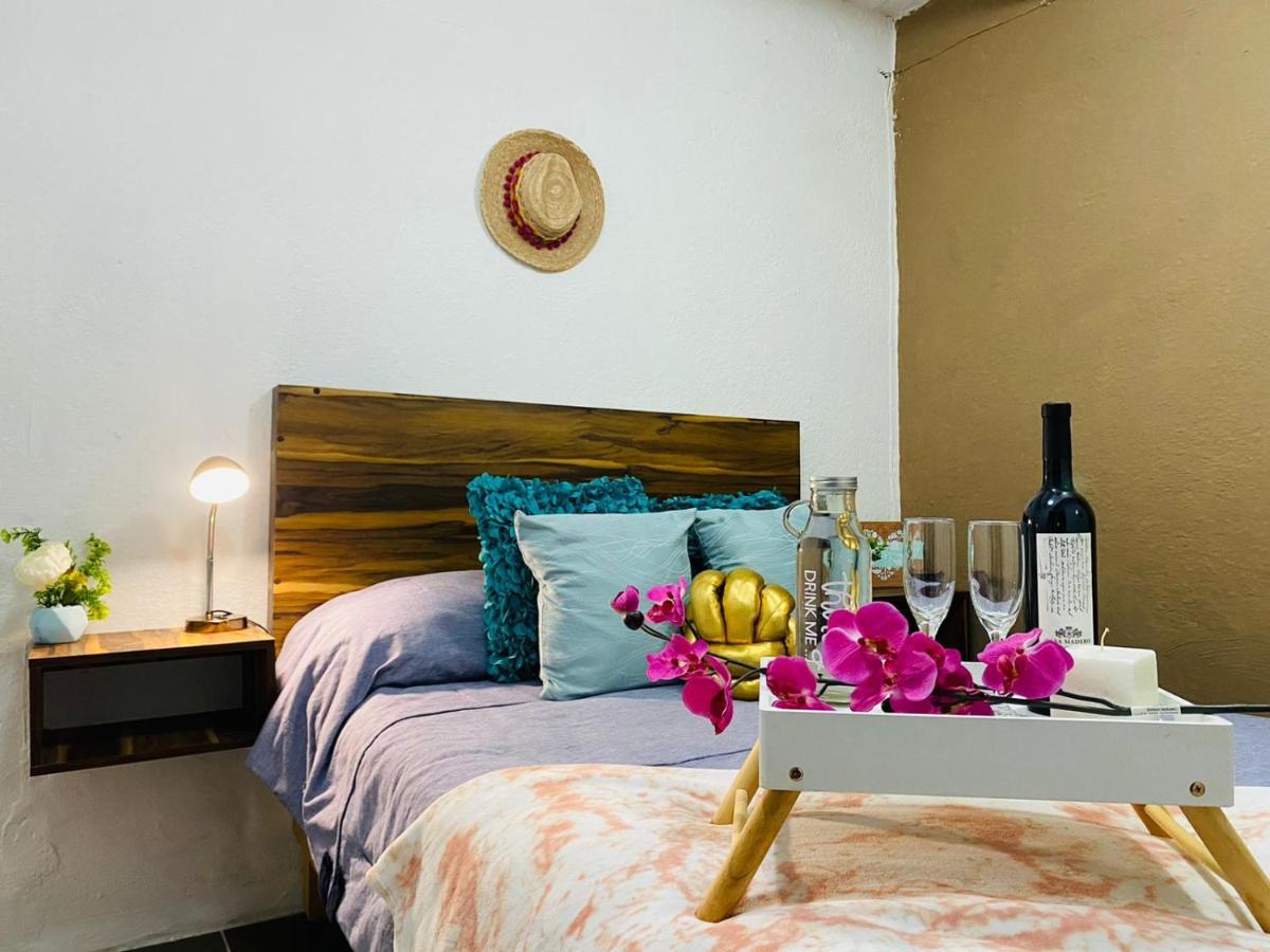 Bufa House - Hermoso Departamento Centrico